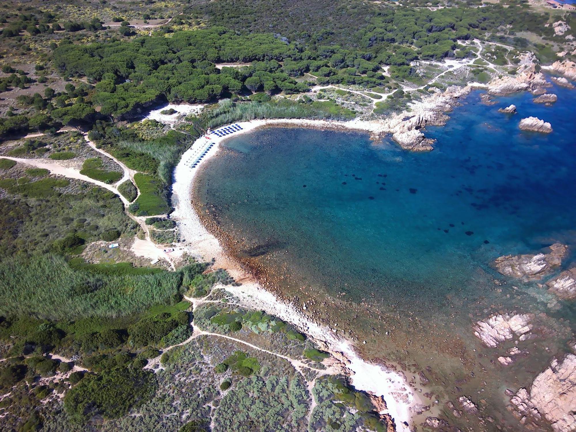 Gli Oleandri Di Calarossa - 5M Walk To The Beach Isola Rossa Exterior foto